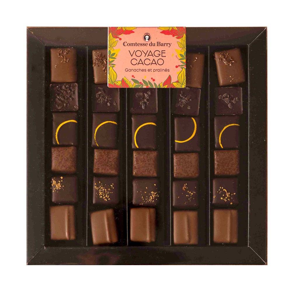 Assortiment de chocolats lait et noir - Voyage Cacao 250g